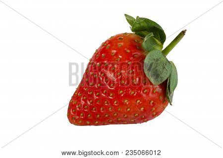 Strawberry Isolated On White Background. Clipping Path.  A Real Real Strawberry.