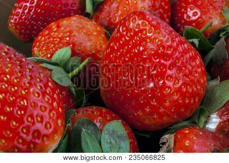 Background From Freshly Harvested Strawberries, Directly Above.  A Real Real Strawberry.