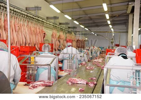 Workers Of Pork Meat Manufacturing