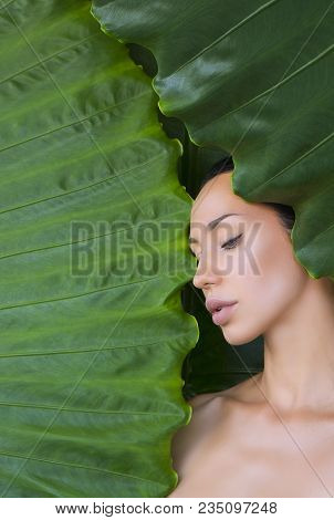 Beautiful Woman Face With Natural Nude Make-up On A Tropical Leaf Background. Healthy Life. Sexy Bea