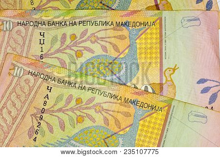 Close-up Macedonia Currency, Macedonian Denar Bank Note