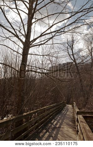 A Wooden Footpath In The Spring In Frick Park, A City Maintained Park In Pittsburgh, Pennsylvania