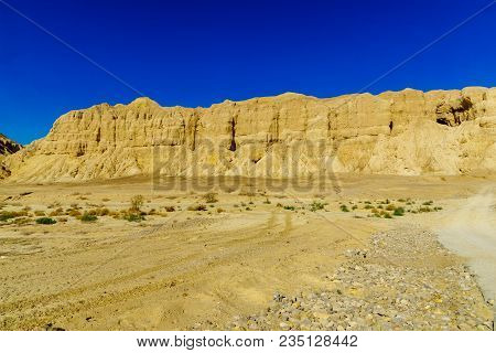 Landscape And Marlstone Rock Formation, Near Neot Hakikar, Northern Arava Valley, South Of The Dead 