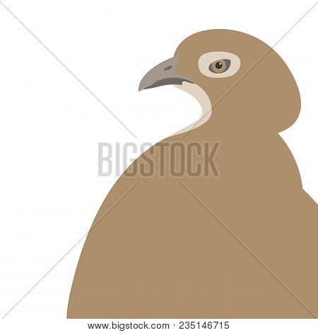 Quail  Head Vector Illustration Flat Style Profile Side