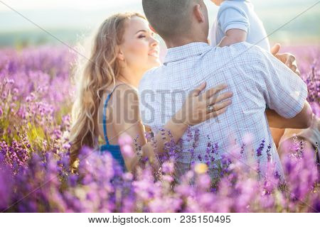 Mom, Dad And Their Little Son Are Walking In A Lavender Field. Life In Provence