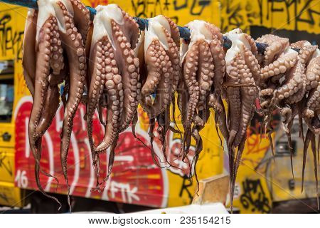 Fresh octopus hanging to dry in the sun, traditional Mediterranean way to cook octopuses, Octopoda
