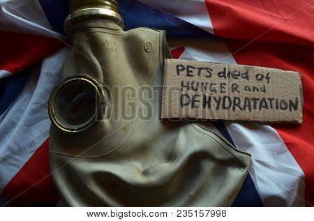 The scandal about poisoning of former Russian spy and killing his cat and Guinea pigs. Animal abuse.Concept. British Flag background.