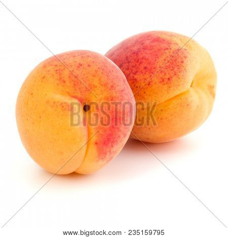Two apricot fruit isolated on white background cutout