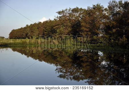 Loxahatchee National Wildlife Refuge Near Boynton Beach, Florida