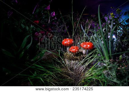 Mushroom. Fantasy Glowing Mushrooms In Mystery Dark Forest Close-up. Amanita Muscaria, Fly Agaric In