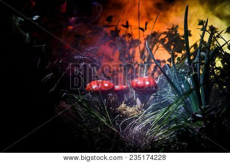 Mushroom. Fantasy Glowing Mushrooms In Mystery Dark Forest Close-up. Amanita Muscaria, Fly Agaric In