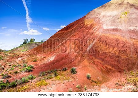 Painted Hill Oregon
