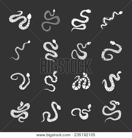 Snake Icons Set Vector White Isolated On Grey Background