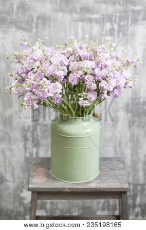 Bouquet Of Beautiful Lilac Color Gillyflower, Levkoy Or Mattiola. Spring Flowers In Vase On Wooden T