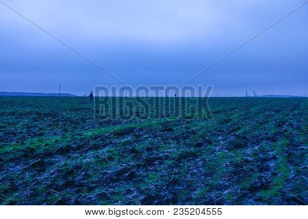The Hunter Hunts A Hare