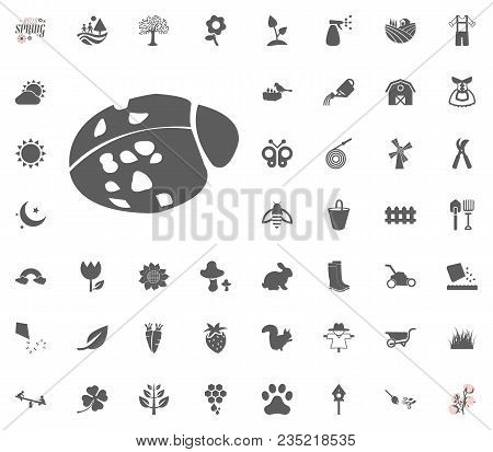 Lady Bug Icon. Spring Vector Illustration Icon Set