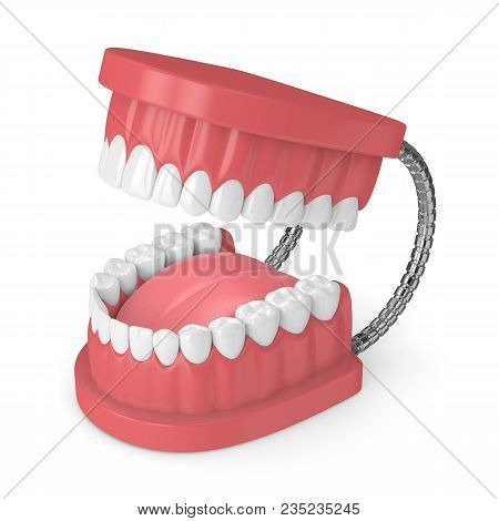 3D Render Of Jaw Model With Teeth Over White