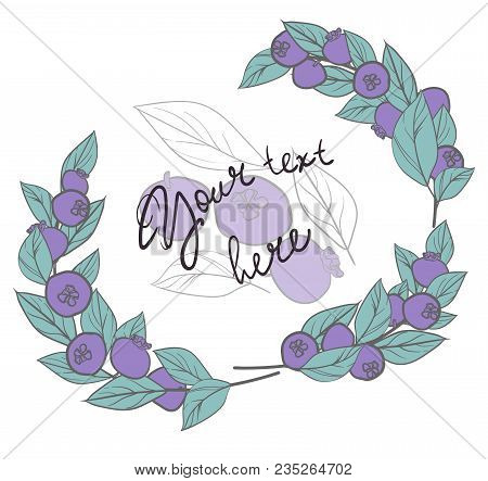 The Blueberry Branches For Design Are Postcard. Hand Drawn. Eps 10, Object With Transparent. For You