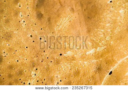 Background: The Structure Of Pancakes Dough. Yellow Colour