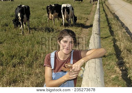 Portrait Of A Farmer With Her Cows In The Field