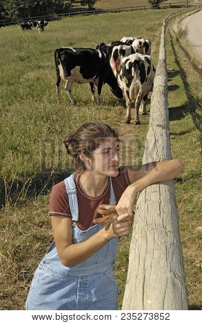 Portrait Of A Farmer With Her Cows In The Field