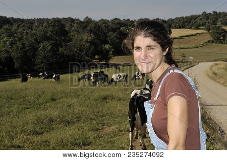 Farmer Sitting On A Fence And Behind Her Herd Of Cows