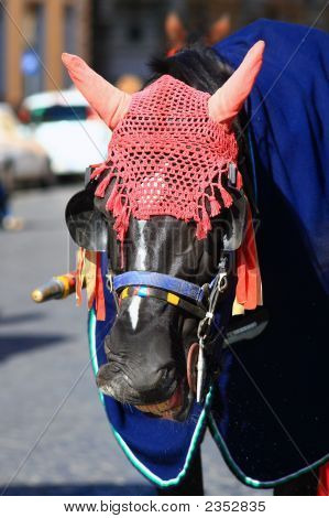 Hest