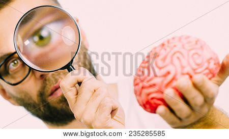 Adult Nerd Man Wearing Eyeglasses Looking At Human Brain Model. Thinking And Intelligence Conept