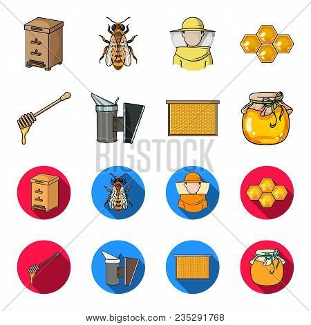 A Frame With Honeycombs, A Ladle Of Honey, A Fumigator From Bees, A Jar Of Honey.apiary Set Collecti