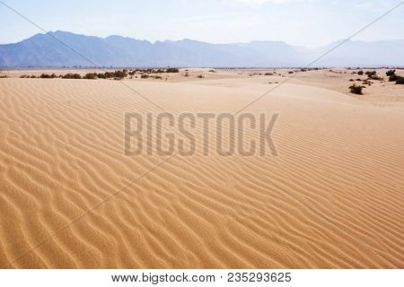 Sand Dune. Wadi Araba Desert. Jordan Landscape