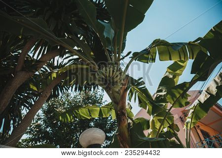 Pattaya, Thailand - February 6 2016: Culture, Features And Life Of Thailand