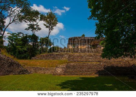 Palenque, Chiapas, Mexico: Ancient Mayan Pyramid With Steps Among The Trees In Sunny Weather. Ancien