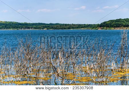 Beautiful Landscape With Several Dry Trees Growing In Lake