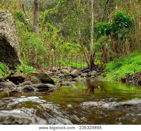 Ravine Of Valsequillo With Rain Water At The End Of Winter, Gran Canaria