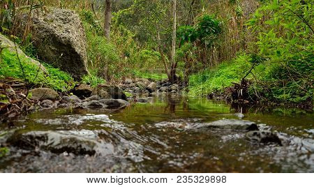 Natural Landscape With Rain Water At The End Of Winter, Valsequillo, Canary Islands