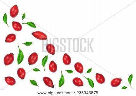 Rosehip Berries Decorated With Green Leaves Isolated On White Background. Flat Lay Pattern. Top View