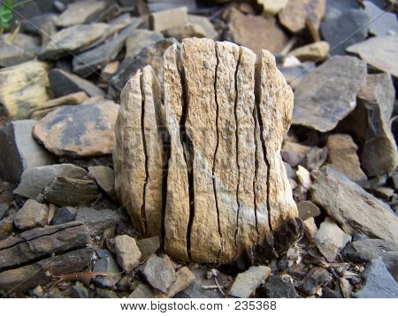Resistiu a pedra