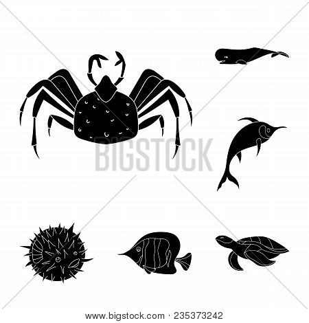 A Variety Of Marine Animals Black Icons In Set Collection For Design. Fish And Shellfish Vector Symb