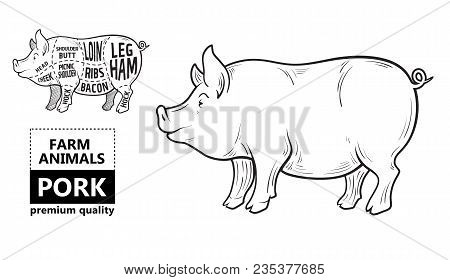 Cut Of Meat Set. Poster Butcher Diagram, Scheme And Guide - Pork. Vintage Typographic Hand-drawn On 