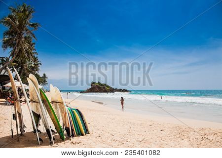 Mirissa Beach, Sri Lanka - JAN 2, 2017: Surf boards on wonderful sand beach in Mirissa on Jan 2, 2017. Sri Lanka.