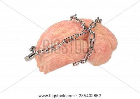 A Brain Bound By Chains Isolated On White Background. 3d Illustration.