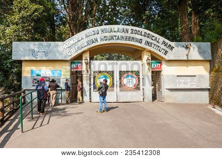 Darjeeling, India - November 18, 2015: Padmaja Naidu Himalayan Zoological Park In Darjeeling, India.