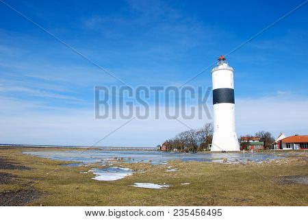 Spring Season By The Popular Birdwatching Site Ottenby At The Swedish Island Oland In The Baltic Sea