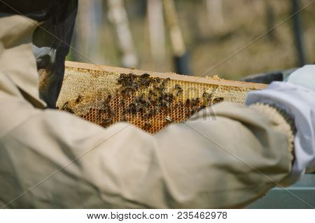 Beekeping And Working At Our Little Family Farm