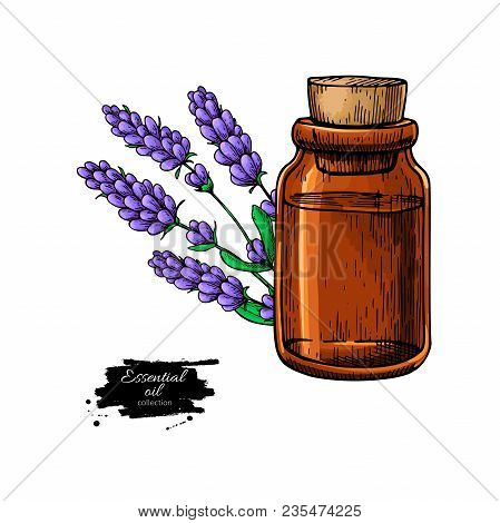 Lavander Essential Oil Bottle And Bunch Of Flowers Hand Drawn Vector Illustration. Isolated Drawing 