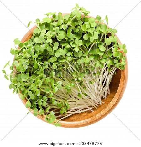 White Mustard Microgreen In Wooden Bowl. Fresh Sprouts And Young Leaves Of Sinapis Alba, Also Yellow