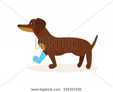 Dog With A Broken Leg. Vector. Cartoon. Isolated Art On White Background. Flat