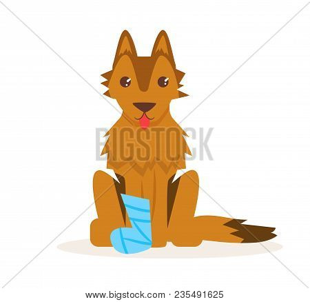 Dog With A Broken Leg. Vector. Cartoon. Isolated Art On White Background. Flat