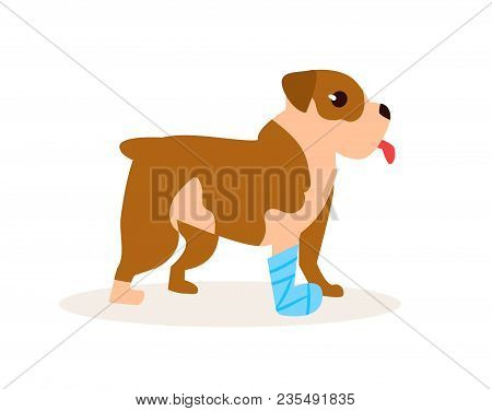 Dog With A Broken Leg. Vector. Cartoon. Isolated Art On White Background. Flat