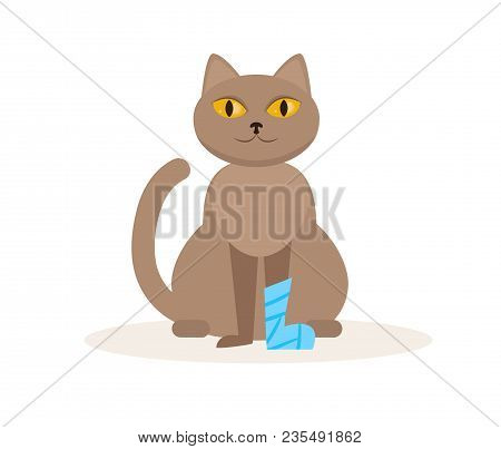 Cat With A Broken Leg Vector. Cartoon. Isolated Art On White Background. Flat